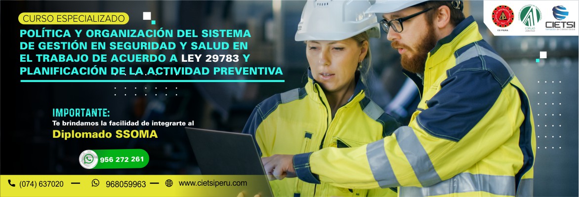 curso especializado polItica y organizaciOn del sistema de gestiOn en seguridad y salud en el trabajo de acuerdo a ley 29783 y planificaciOn de la actividad preventiva